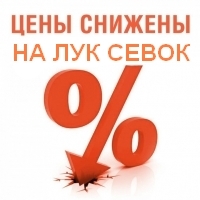 Снижение цен на лук-севок