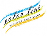 Колорлайн, предзаказ!